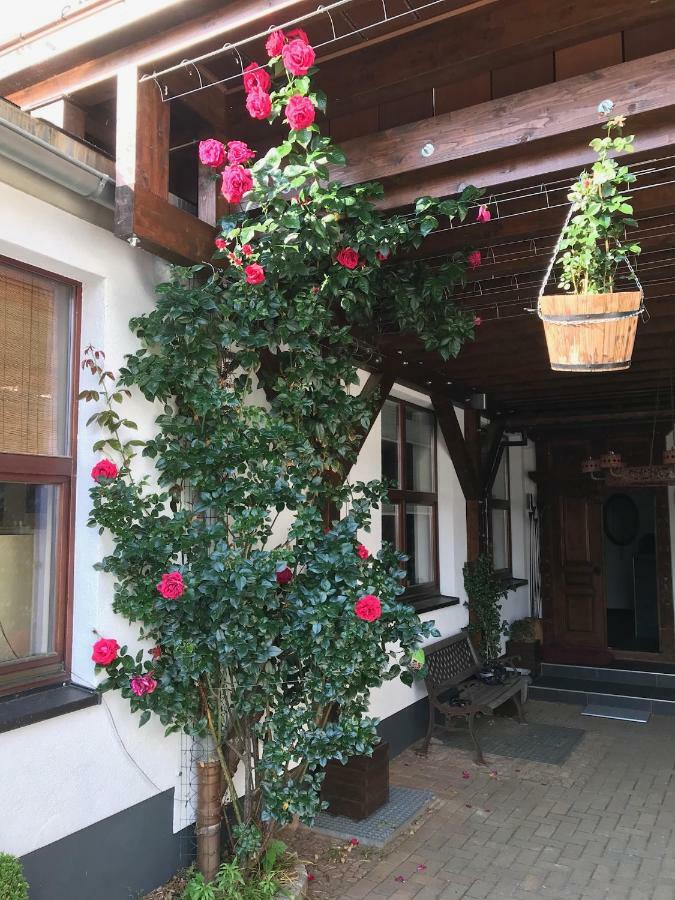 Wieko Ferienwohnungen Plauen Exterior foto